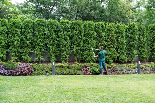 Mulching Services in Inez, TX